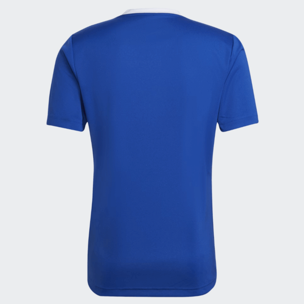 Mens Entrada 22 Blue Jersey