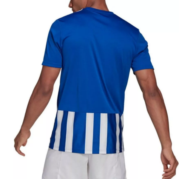Mens Striped 21 SS Shirt