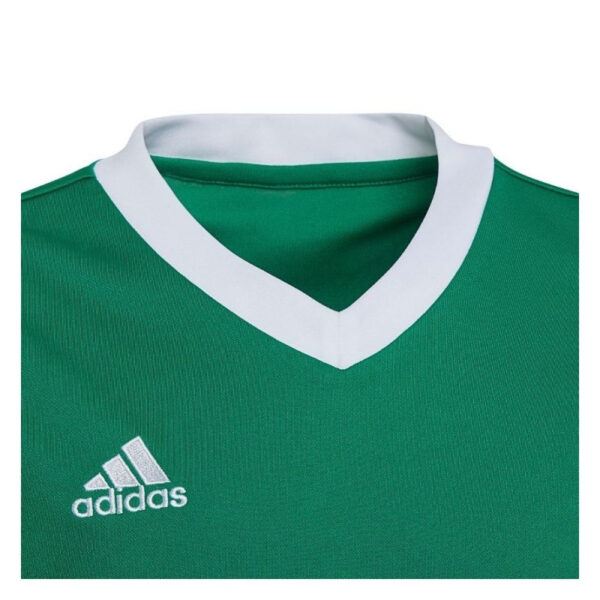 Kids Entrada 22 Green Jersey