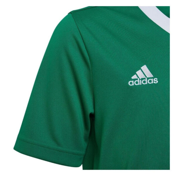 Kids Entrada 22 Green Jersey