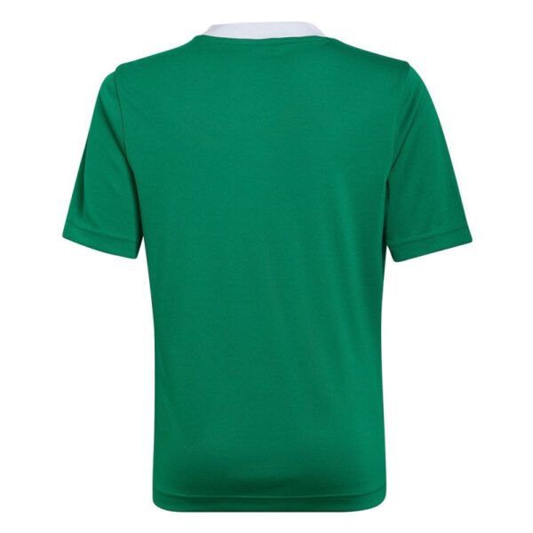 Kids Entrada 22 Green Jersey