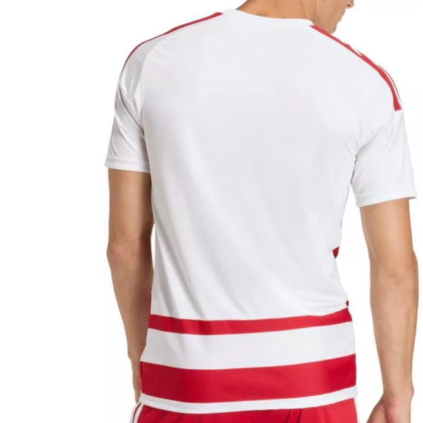 Hooped 26 Adult SS Jersey