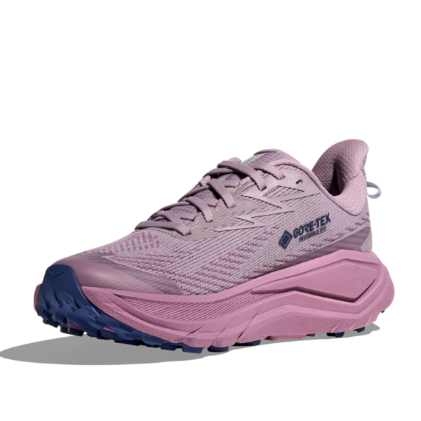 Womens Challenger 8 GTX Trail Running Shoes