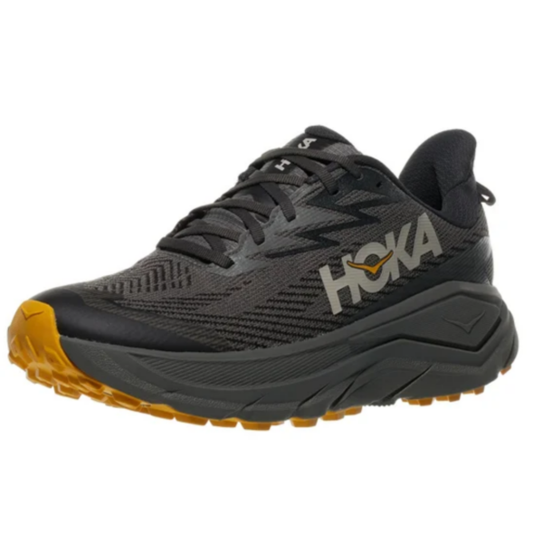 Mens Challenger 8 GTX Trail Running Shoes