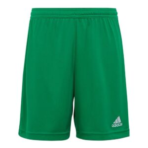 Adults Entrada 22 Green Shorts