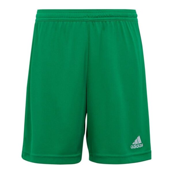 Kids Entrada 22 Green Shorts
