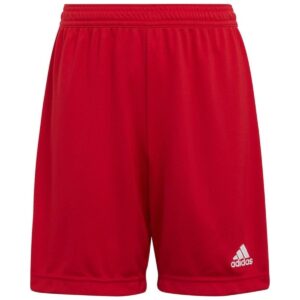 Adults Entrada 22 Red Shorts