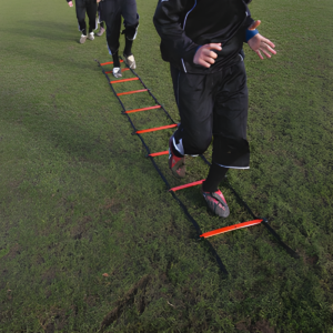 2 Metre Speed Ladder