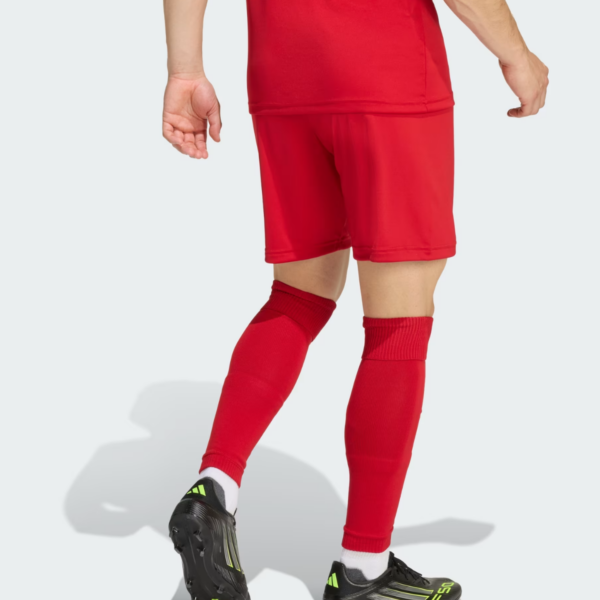 Drumoghill FC Adults Entrada Red 26 Shorts