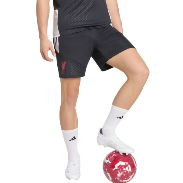 Adults Liverpool FC 26/27 Tiro Training Shorts