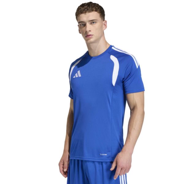 Adults Naas AFC Tiro 26 Jersey