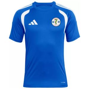 Kids Naas AFC Tiro 26 Jersey