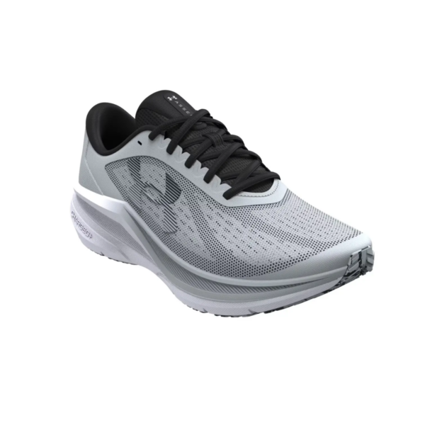 Mens Assert 11 Grey Running Shoes